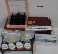 کیت ارزیابی میزان شکنندگی DNA اسپرم کیت ارزیابی میزان شکنندگی DNA اسپرم